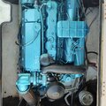 Merry Fischer 605 - picture 10