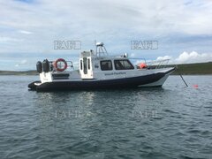 RIB - ISLAND PANTHER - ID:129143