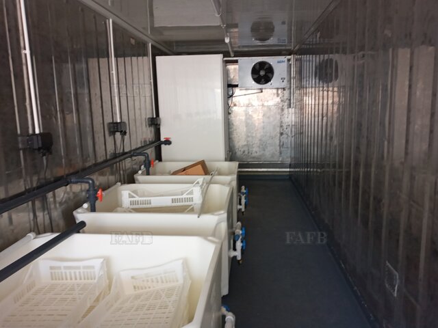 Bivalve purification unit (40 ft containerised) - picture 1