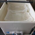 Bivalve purification unit (40 ft containerised) - picture 3