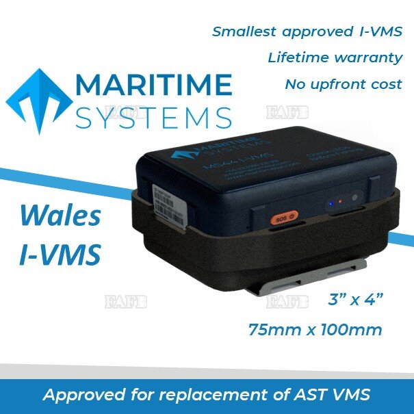 Welsh I- VMS - Feb Offer £149 - picture 1