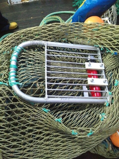 Double your prawn catch rate. Echo detects prawns in the net - picture 1