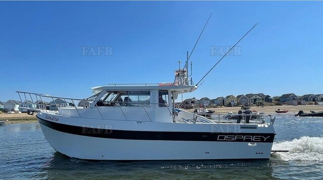 Osprey 28 Long cabin - picture 1
