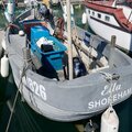 Shoreham Beach Boat - picture 2