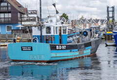 Wooden crabber - Chale Bay - ID:123456