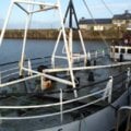 Motor Fishing Vessel - picture 4