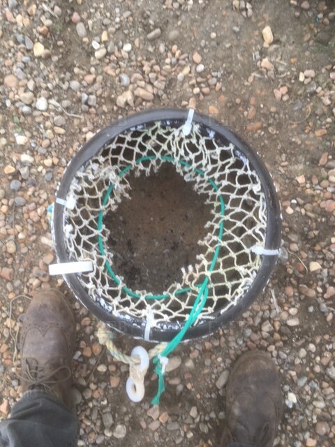 Whelk pots/pot ropes - picture 1