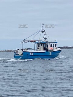 Cygnus Cyfish 33 - Roisin Bairbre  - ID:123474