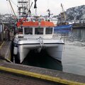 BW Sea Catamaran 10M Including Bass Entitlement - picture 5