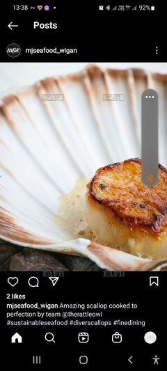 Hand dived k. scallops - ID:124510