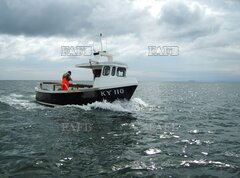 IP24 (Island Plastics) - Shearwater II - ID:122543