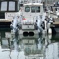 Cheetah Marine Catamaran 7.9 - picture 6