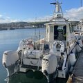 Cheetah Marine Catamaran 7.9 - picture 10