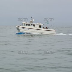 10m Blyth Catamaran, new version with raised gunwhales - Top Cat III - ID:123549