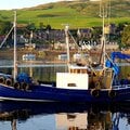 trawler nobles of girvan - picture 4
