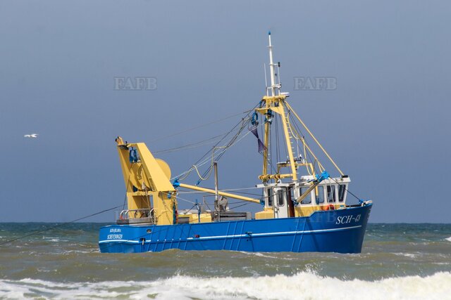 trawler - beam trawling and twinrigging - picture 1