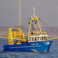 trawler - beam trawling and twinrigging - picture 2