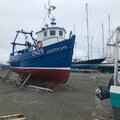 Gaff Wooden Creeler/trawler (SHELLFISH LICENCE STILL AVAILABLE WITH THE BOAT) - picture 5