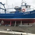 Gaff Wooden Creeler/trawler (SHELLFISH LICENCE STILL AVAILABLE WITH THE BOAT) - picture 4