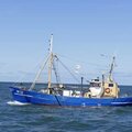 trawler - picture 3