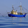 trawler - picture 2