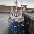Trawler - picture 4