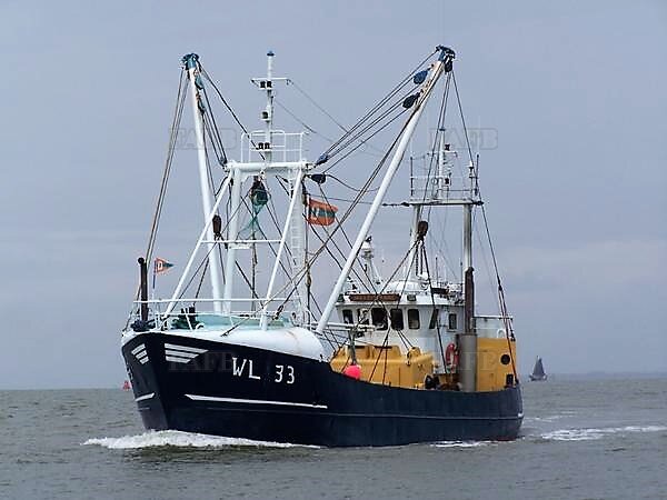 Steel trawler - picture 1