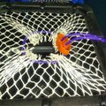 Mustangs new 'WhelkKing' Whelk pot - picture 3