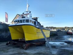 Phoenix Catamaran - 9.9m semi displacement new build - Phoenix Cat - New build - ID:107686