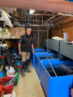 Homarium Box 1 lobster tank - ID:110729