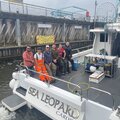 10m Atlantic twin sea - picture 17