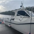 10m Atlantic twin sea - picture 10
