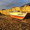 Maritime 21 with licence cat a with shellfish - picture 2