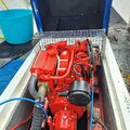 Maritime 21 with licence cat a with shellfish - picture 4