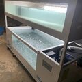shellfish lobster holding tank - picture 5