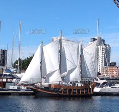 Three masted schooner - The Bearded Lady  - ID:125844