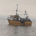 38 trawler - picture 21
