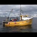38 trawler - picture 17