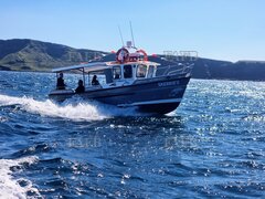 HARDY 24 - Skerries - ID:124857