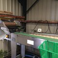 Marel Compact Grader Cochon washer, sorting table and intralox feeder - picture 3