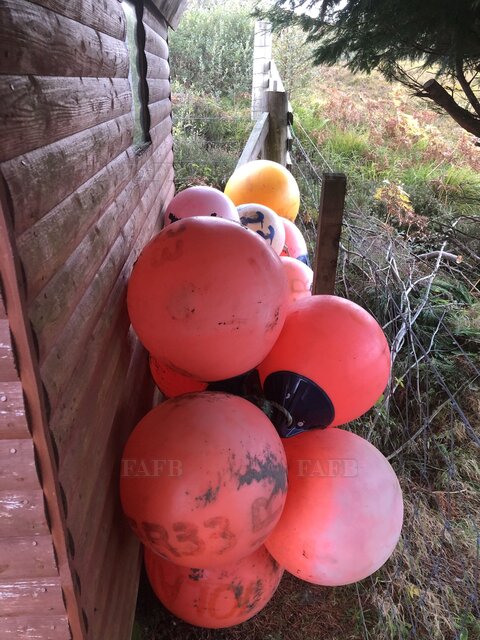 Buoys - picture 1