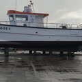 10 metre blyth catamaran - picture 7