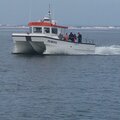 10 metre blyth catamaran - picture 6