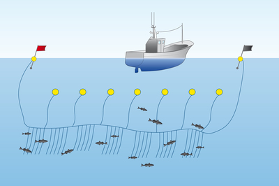 Types of Fishing Methods Explained