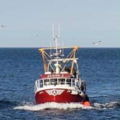 Extra picture for advert 148010