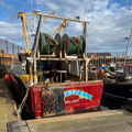 Extra picture for advert 148010