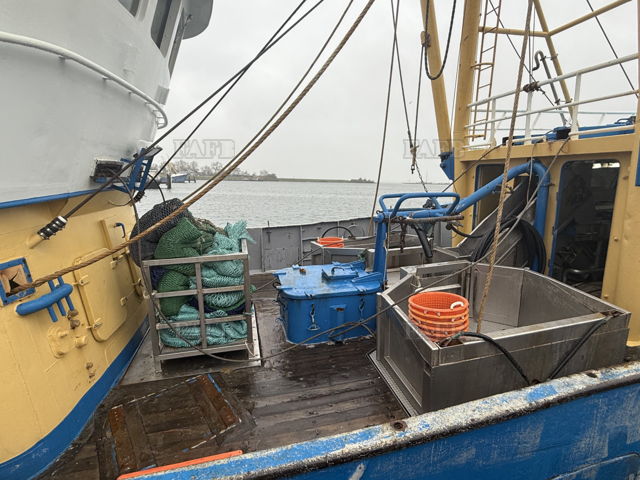 Large picture for advert 144103