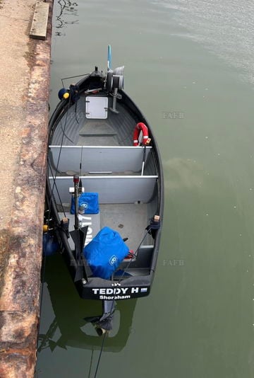 Teddy h