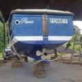 Thumbnail for picture 5