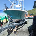 Extra picture for advert 147103